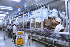 Experto se muestra optimista sobre cooperación económica Corea del Sur - Vietnam
