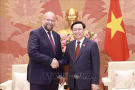 Vietnam concede importancia al desarrollo de nexos con República Checa