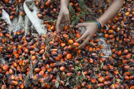 Indonesia y UE completan 14ª ronda de negociaciones de asociación económica integral 
