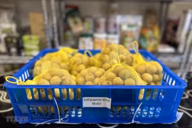 Frutas vietnamitas penetran en mercado japonés 