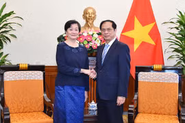 Canciller vietnamita recibe a nueva embajadora camboyana