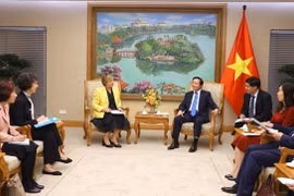 Vietnam sugiere a UNICEF ayudar a desarrollar conjunto de indicadores de bienestar infantil