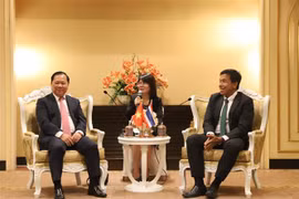 Provincia vietnamita de Hoa Binh busca atraer inversiones tailandesas