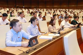 Evalúa Parlamento vietnamita uso de recursos para lucha contra COVID-19