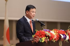 Vietnam contribuye a promover nexos entre ASEAN y Japón