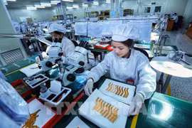 Aumenta número de nuevas empresas establecidas en Vietnam en 2023