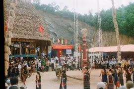 Provincia de Quang Nam promueve el turismo sostenible 