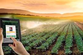 Vietnam promueve aplicación de tecnología para agricultura sostenible