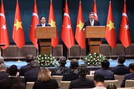 Vietnam y Turquía determinados a continuar fomentando la colaboración integral