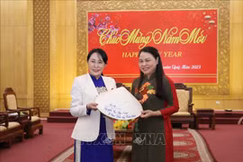 Provincia vietnamita de Ninh Binh desea fortalecer cooperación con localidades japonesas