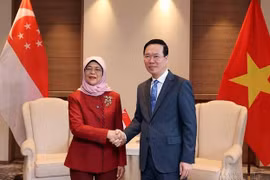 Vietnam y Singapur buscan llevar su asociación estratégica a un nuevo nivel