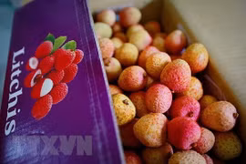 Buscan promover exportación de lichis y longanes de Vietnam