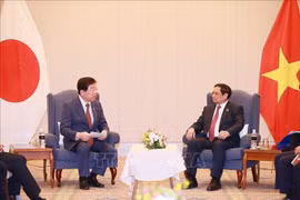 Abogan por intensificar relaciones entre parlamentos de Vietnam y Japón