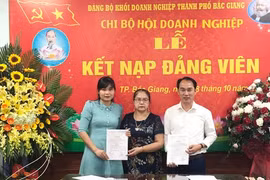 Provincia de Bac Giang desarrolla organizaciones partidistas en empresas