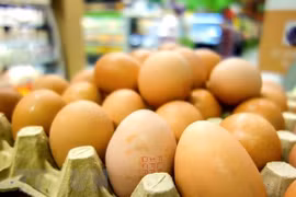 Indonesia exportará huevos a Singapur