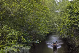 Reserva natural en Delta del Mekong aprovecha potencial del ecoturismo 
