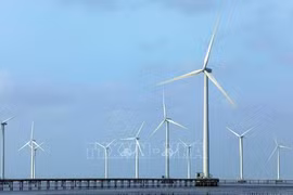 Transición a energías limpias garantizará biodiversidad de Vietnam