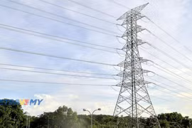 Brunei planea construir planta incineradora de residuos para generar electricidad