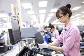 Empresas estadounidenses buscan oportunidades de inversión en Vietnam 