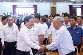 Presidente vietnamita se reúne con votantes de ciudad de Da Nang