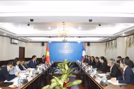 Efectúan octava consulta política Vietnam – Laos