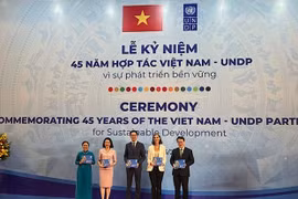 Vietnam-PNUD: 45 años de cooperación para el desarrollo sostenible