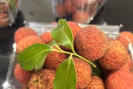 Lichi vietnamita sin semillas se vende en el Reino Unido