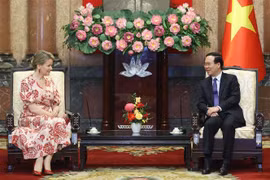 Presidente vietnamita exhorta asistencia de UNICEF Bélgica para niños