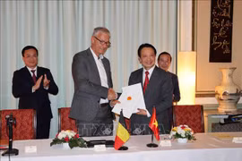 Amplían oportunidades de cooperación entre empresas vietnamitas y belgas