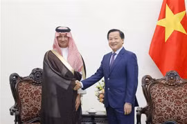 Vietnam concede importancia al impulso de nexos con Arabia Saudita