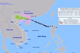 Tifón Talim se acerca a ciudad vietnamita de Mong Cai
