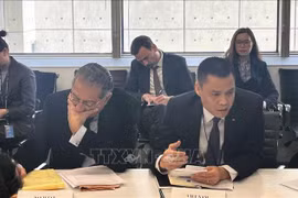 Vietnam: Respuesta al cambio climático es camino inevitable del desarrollo sostenible 