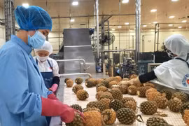 Austria es mercado prometedor para frutas vietnamitas, califican expertos