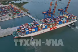 Recomiendan a empresas vietnamitas elegir estrategias adecuadas ante recesión económica