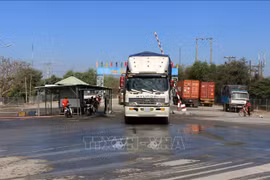 Vietnam previene comercio y transporte ilegales de aves de corral a través de fronteras nacionales