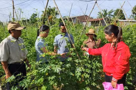Tasa de pobreza multidimensional en Vietnam se reducirá al 2,93% a fines de 2023