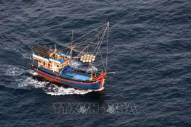 Vietnam refuerza soluciones contra la pesca ilegal