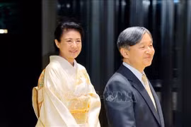 Premier de Vietnam se reúne con miembros de familia real japonesa