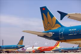 Aerolíneas vietnamitas garantizan seguridad del transporte durante el Tet