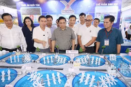 Premier insta a provincia de Ca Mau a desarrollar potenciales económicos