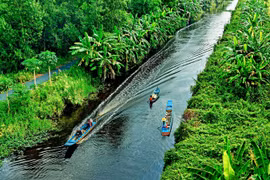 Proyecto millonario promueve ecoturismo en localidad survietnamita 