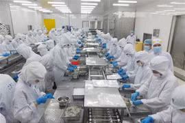 Japón, mayor receptor de productos acuícolas de Vietnam