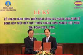 Diplomacia económica brinda productos agrícolas vietnamitas al mundo