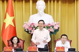 Presidente vietnamita dirige reunión sobre cuestiones teóricas y prácticas de renovación