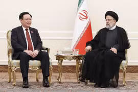 Visita del presidente del Parlamento vietnamita a Irán, nuevo paso en el desarrollo de nexos bilaterales