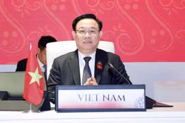 Reiteran incorporación activa de Vietnam a tareas de AIPA