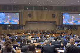 Vietnam llama a comunidad internacional a promover el desarme completo