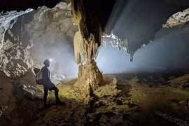 Quang Binh apunta a preservación sostenible de parque nacional 
