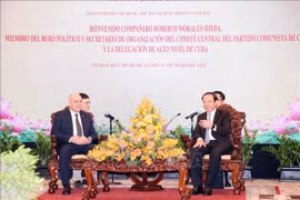 Ciudad Ho Chi Minh dispuesta a promover cooperación con Cuba 