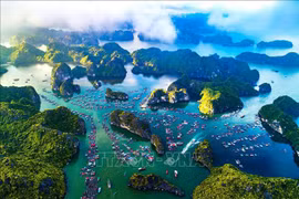 Vietnam trabaja por reconocimiento de UNESCO a zona Ha Long-Cat Ba como patrimonio mundial